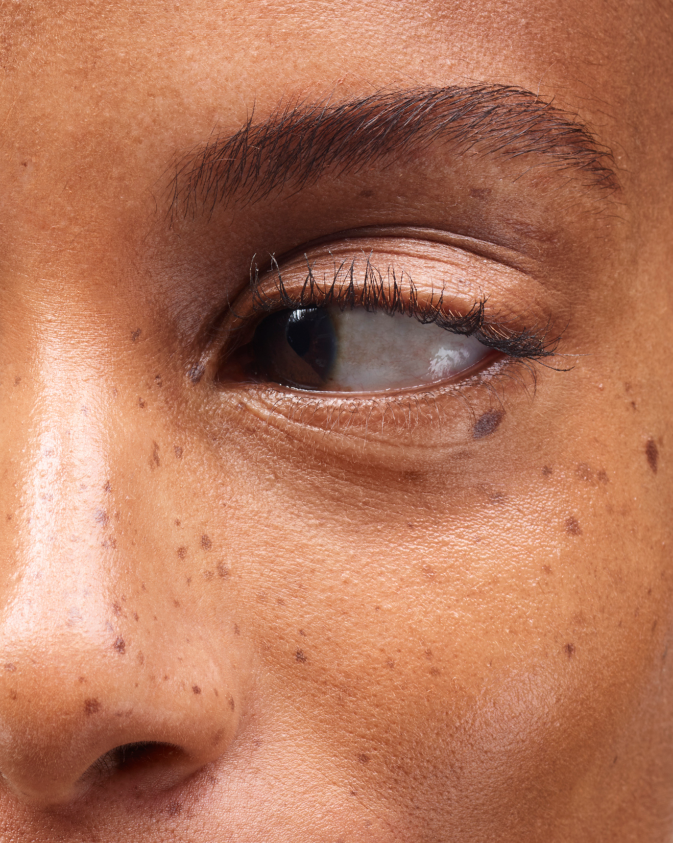 Boy Brow - Image 18