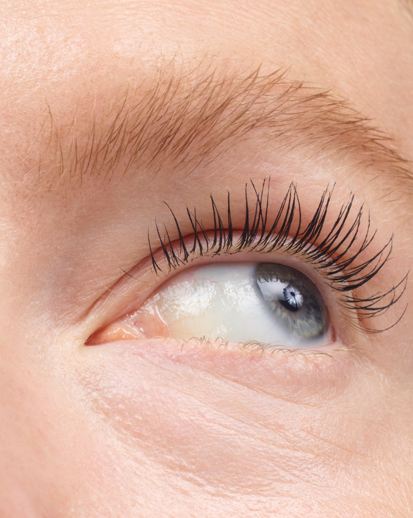Boy Brow - Image 32