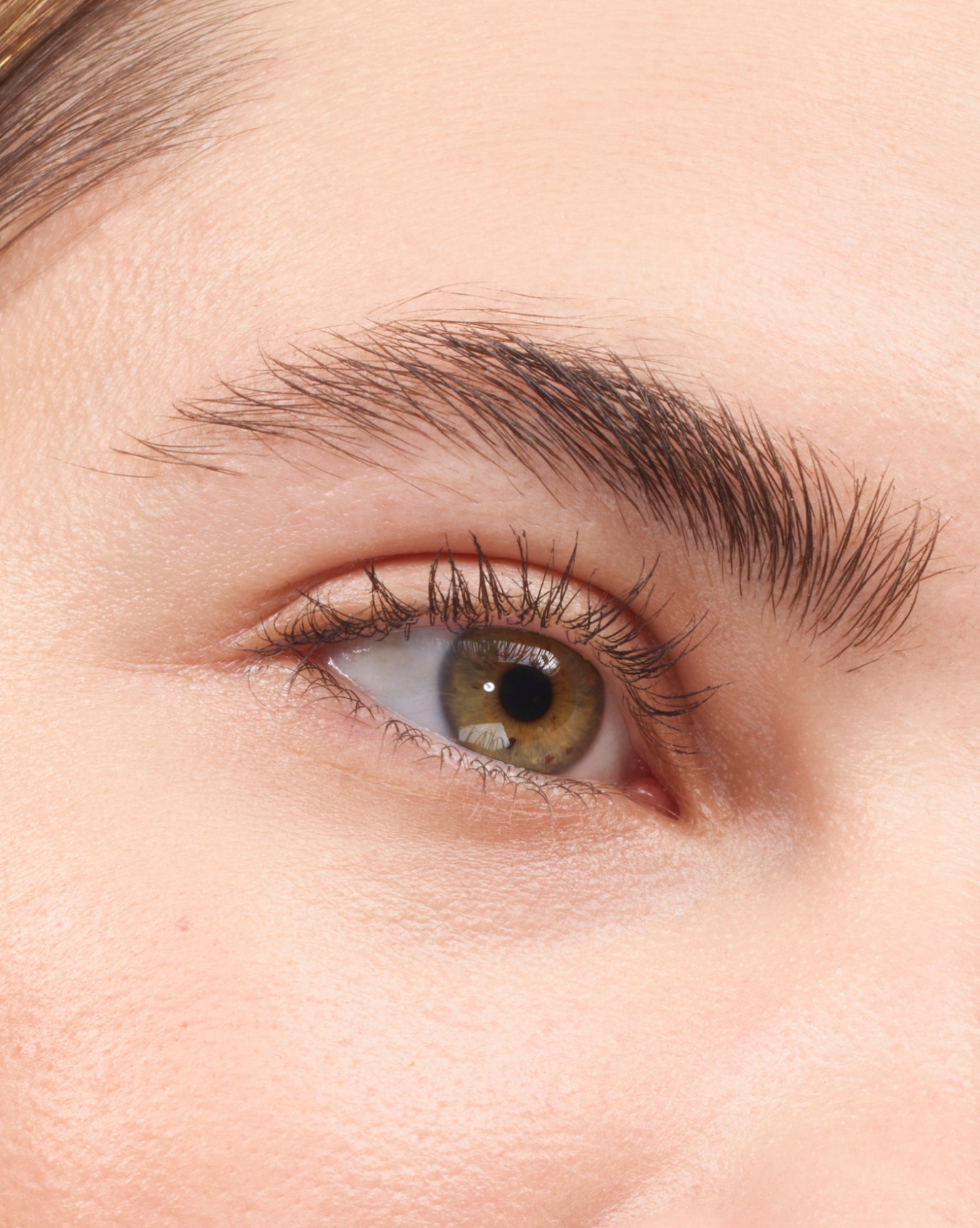 Boy Brow - Image 51