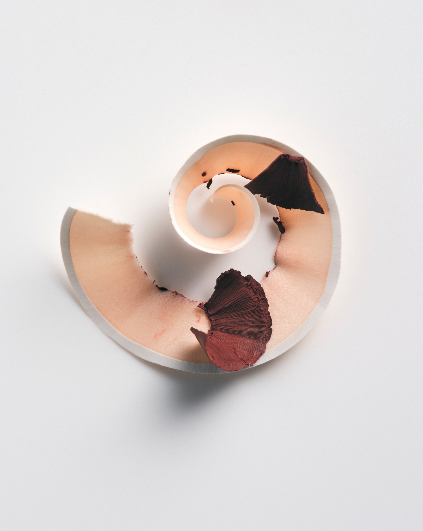 Lip Line - Image 49