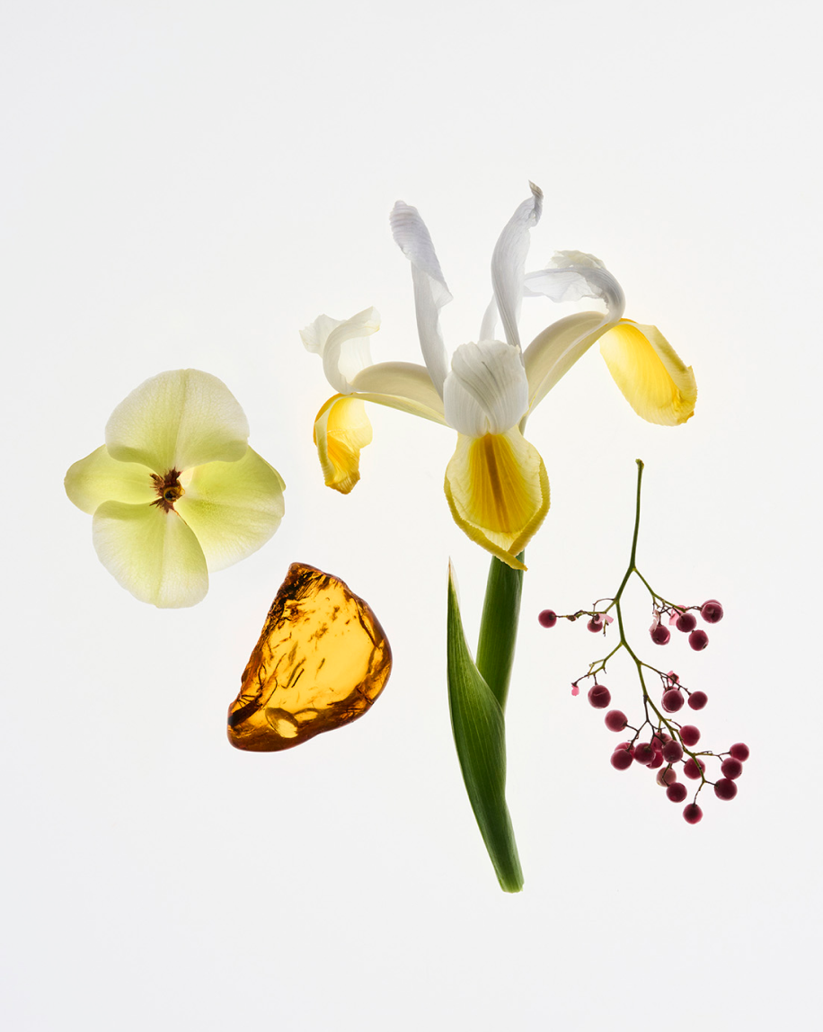 Glossier You Solid - Image 4